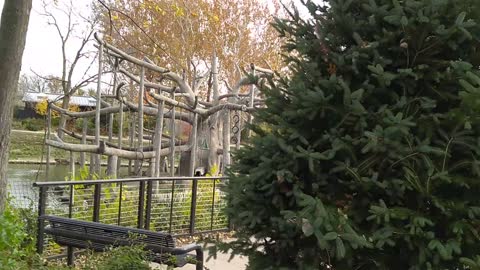 Monkeys At The Henry Doorly Zoo