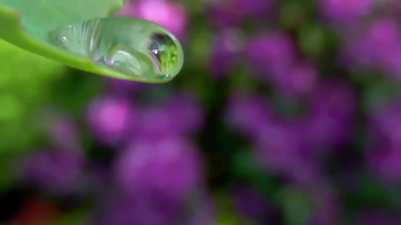 Songs-to-Meditate-Relax-Sleep-and-Calm-the-Mind