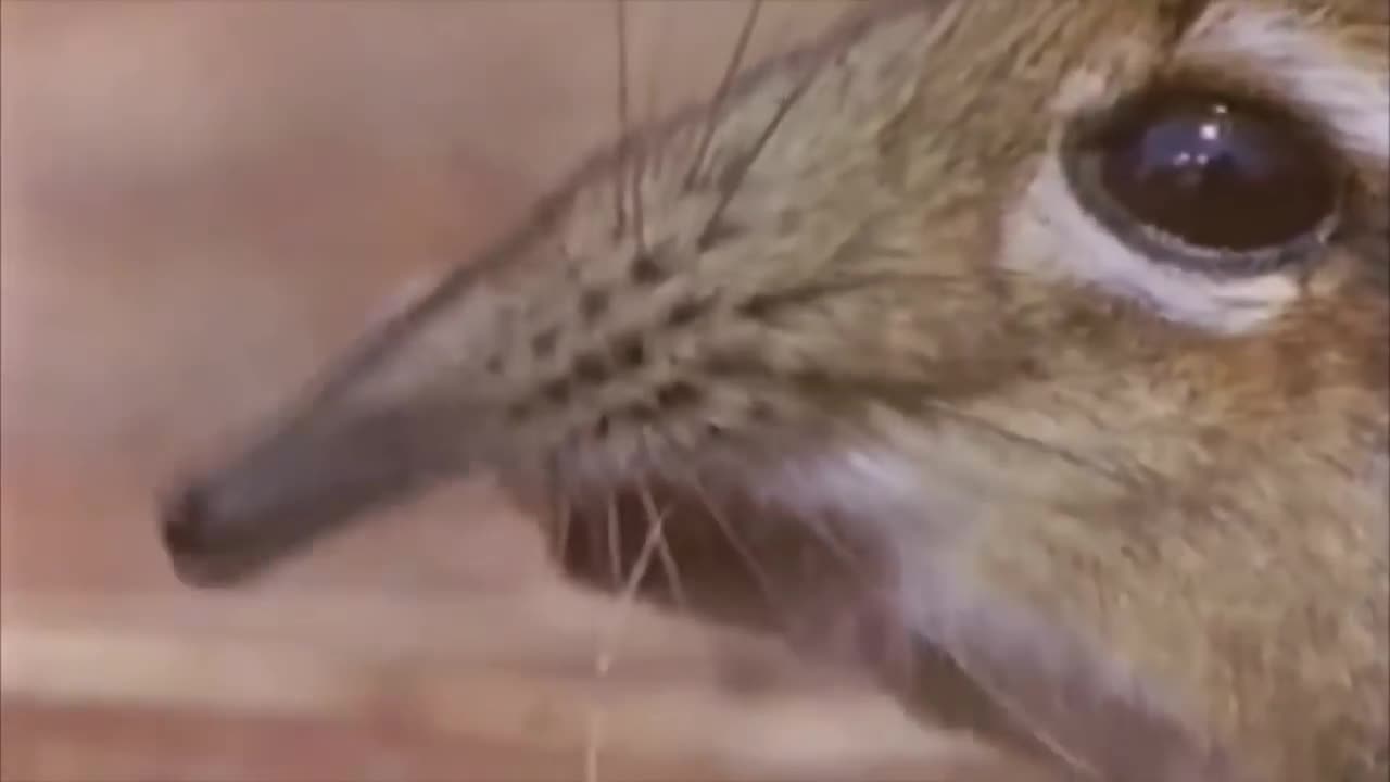 Take a closer look at that meme