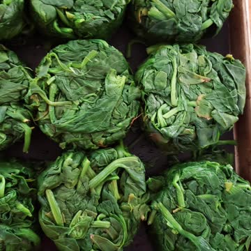 Spring 2021 Spinach Harvest