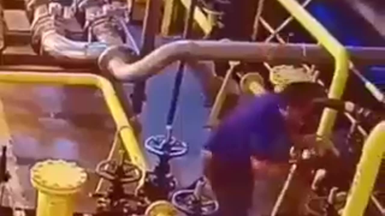 The plant suddenly burst into flames and the man quickly shut off the valve despite the danger.