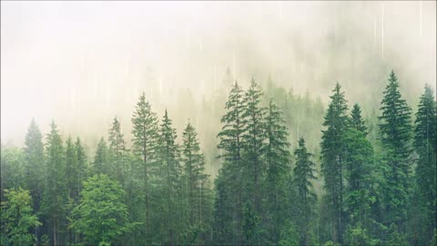 Rain Sound Relaxation - Deep Sleep, Study, Focus - Stormy Wind & Thunder - Nature 4K