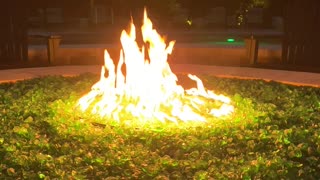 Enjoying Fireplace