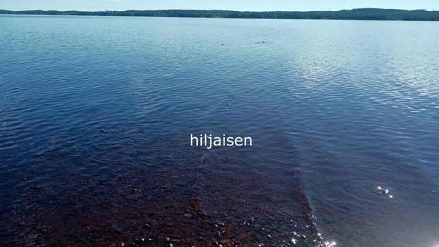 Levoton - Indy Angel