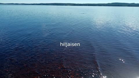 Levoton - Indy Angel