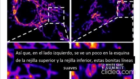 Patólogo forense denuncia efectos vacunas anti cov2