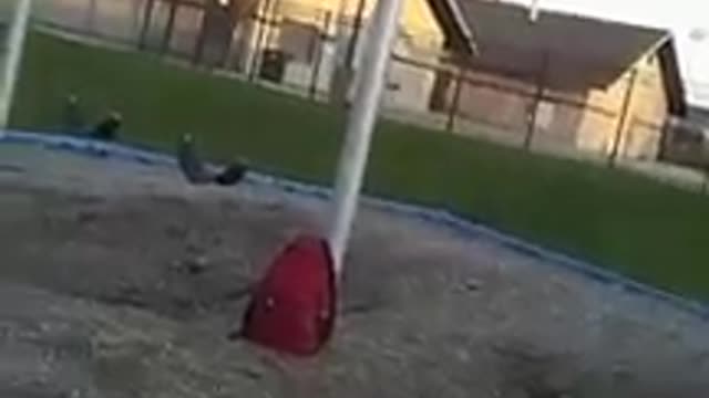Man jeans red shoes jumps off swings splits