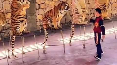 Tiger Training