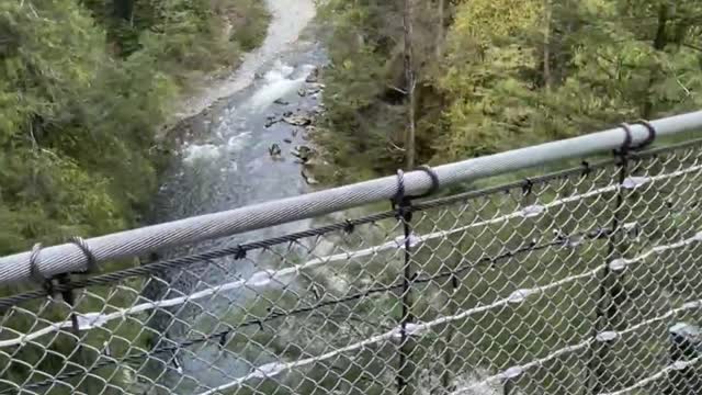 Capilano Suspension Bridge