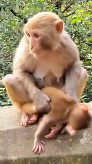 loan and son loan and son2