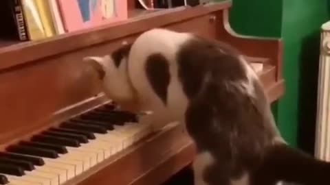 piano master