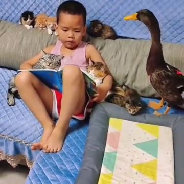 Amazing little boy studying with his pets.mp4