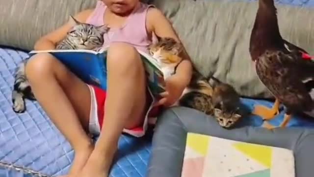 Amazing little boy studying with his pets.mp4