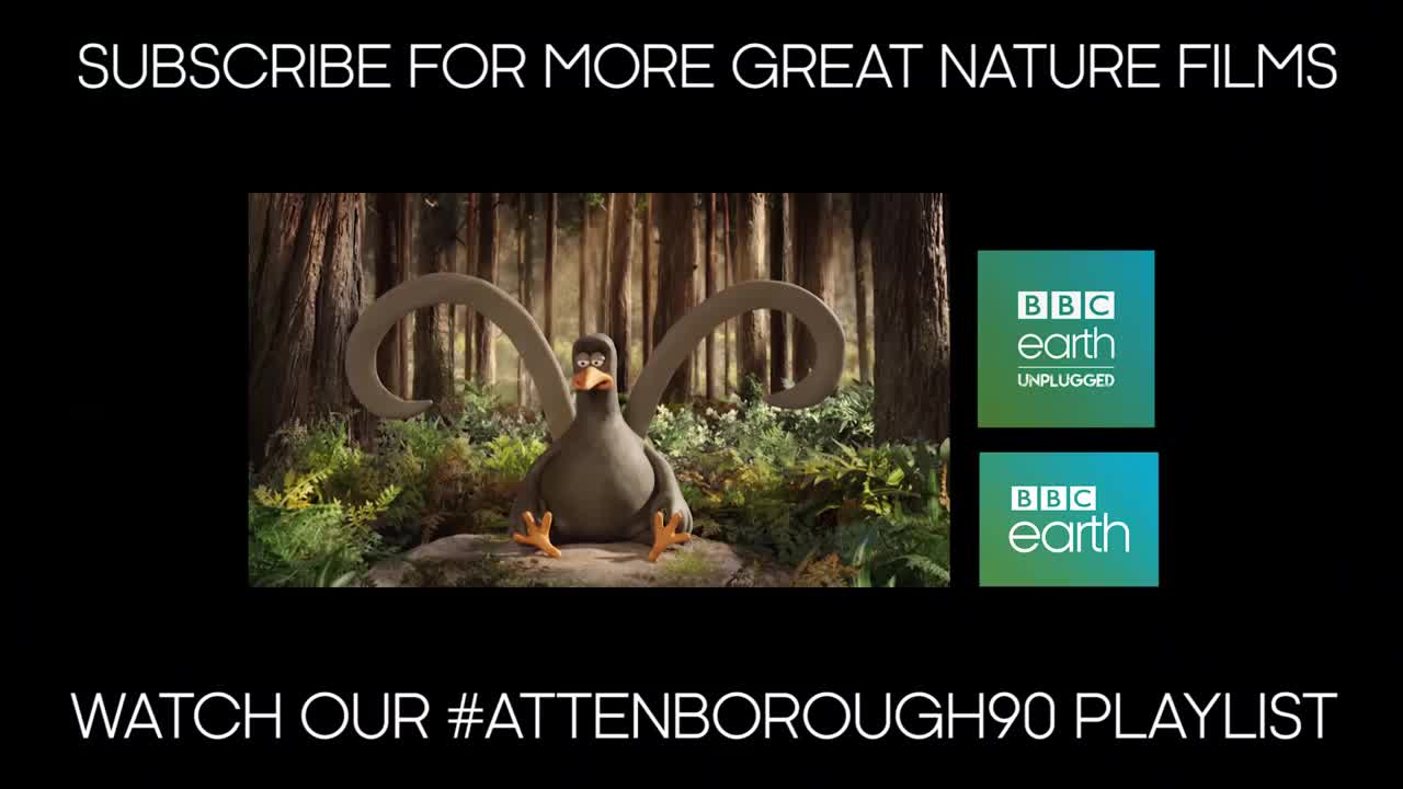 Attenborough Talks About His Famous Gorilla Encounter | Attenborough at 90 | BBC Earth