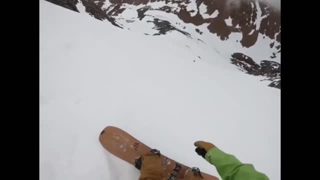 Dog tumbling down a ski run