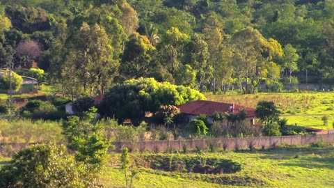 Fields Agriculture Nature Meadow DRONE