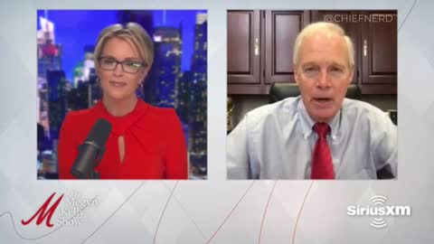 Sen. Ron Johnson Explains How Hunter Biden & Corrupt Politicians Use Diamonds to Launder Money