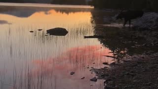 Sunrise Scene on the Appalachian Trail