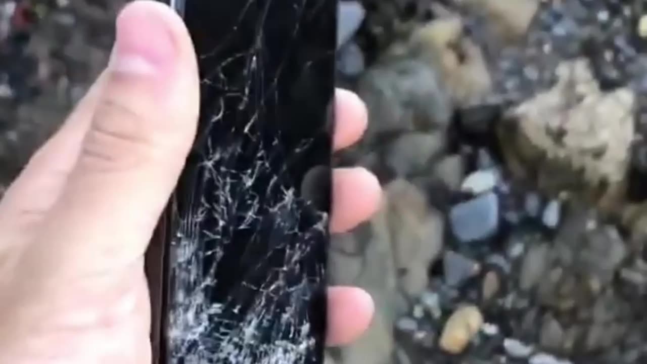 Erwischt! Lustige Momente aus dem täglichen Leben! 📸😆