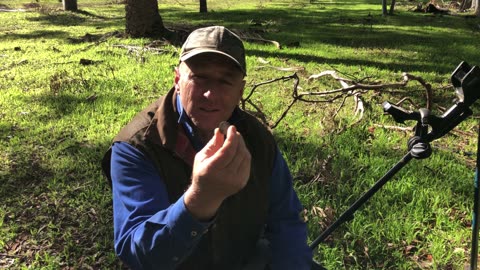 Bullants Sterling Silver Metal Detercting With Minelab