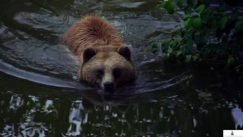 Whatttt??? Wild Animals Show their wildest instinct? No!! they are very friendly and lovely.