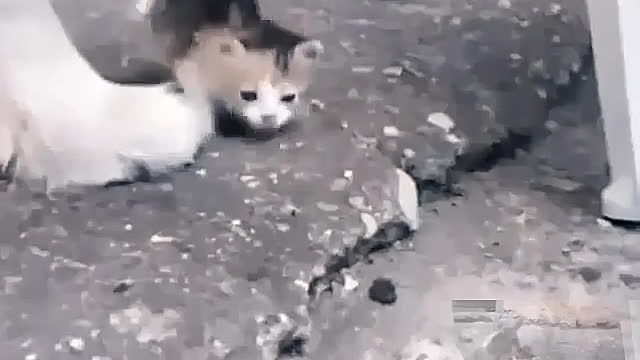 It's so small