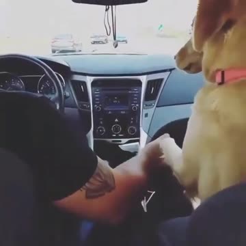 Trust If you like it pls support