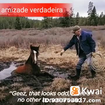 animal rescue in Florida