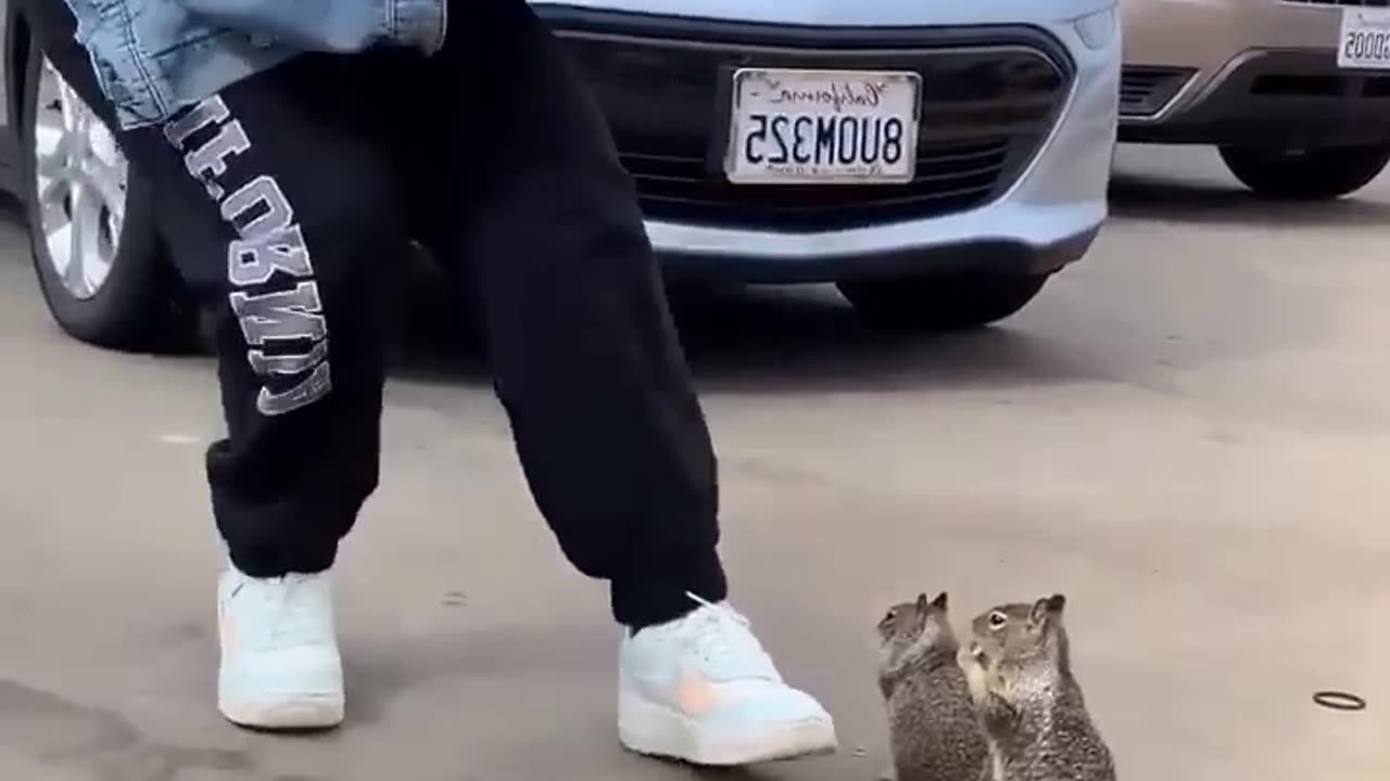 Incredible mo ment o f girl feeds cute squirrel bread a n d water