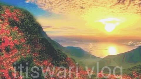 #short #shortvideo #beautiful #beautifulflowersintheworld #shorts #shortsviral #shortshorts