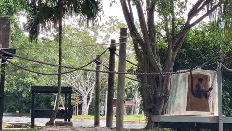 Enjoy your vacation with kids at Lion Country Safari!