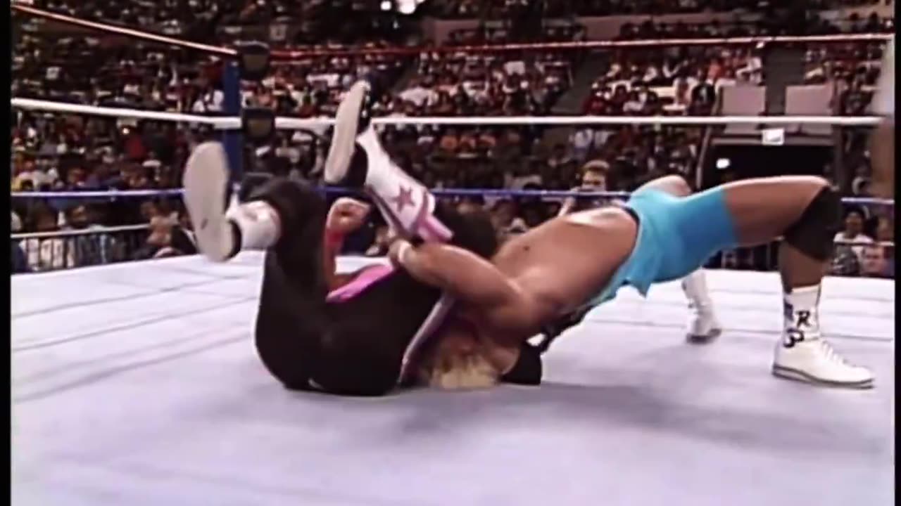 Bret Hart vs Mr Perfect SummerSlam Highlights