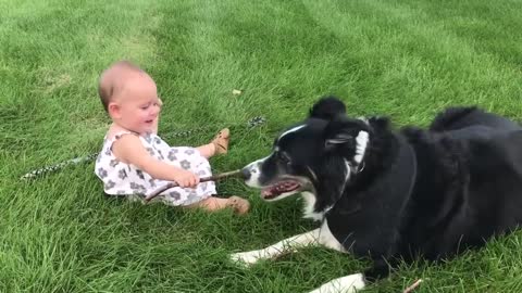 Cute baby and adorable dog funny video compilation