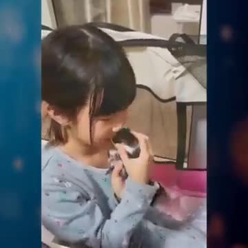 Cats and dogs _ cats meowing _ cats funny videos #shorts