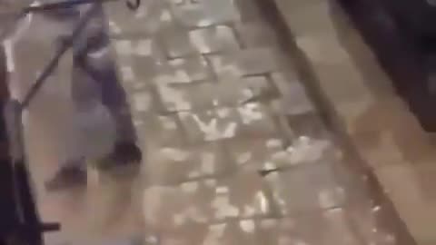 Wakefield, UK But Islam is not the problem