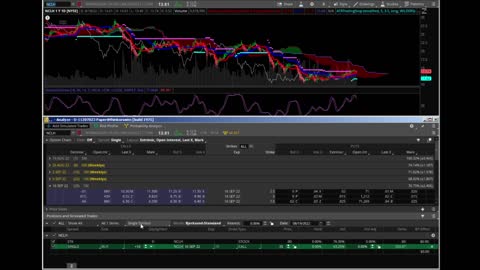 Paper Trades Thurs Aug 18, 2022