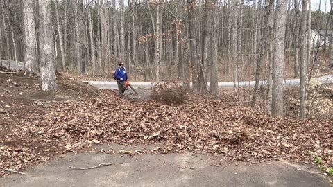 Part 2 - Massive Leaf Cleanup