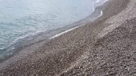 Relaxing Music | Sleeping, Meditation, Stress Relief | [1486] ⭐️