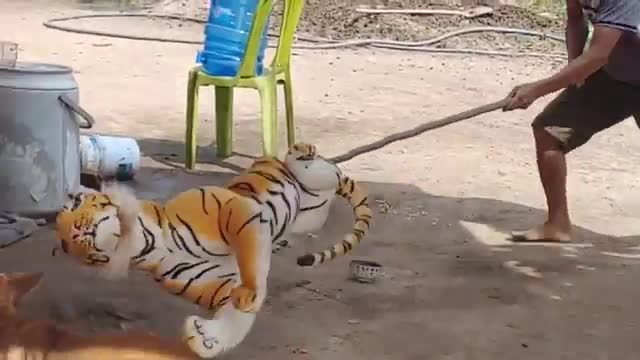 Wow!!! Fake Tiger Prank Dog So Funny Dog Reaction Try To Stop Laugh