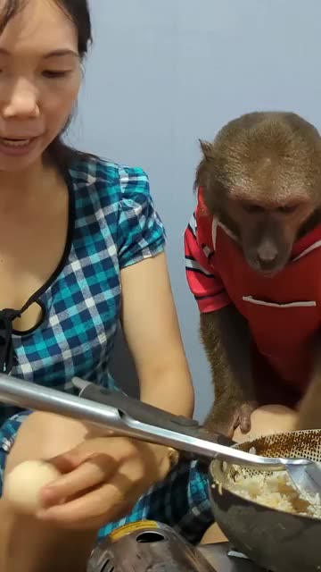 Cute monkey helps me to cook fried rice