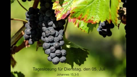 Tageslosung für Dienstag, den 05. Juli