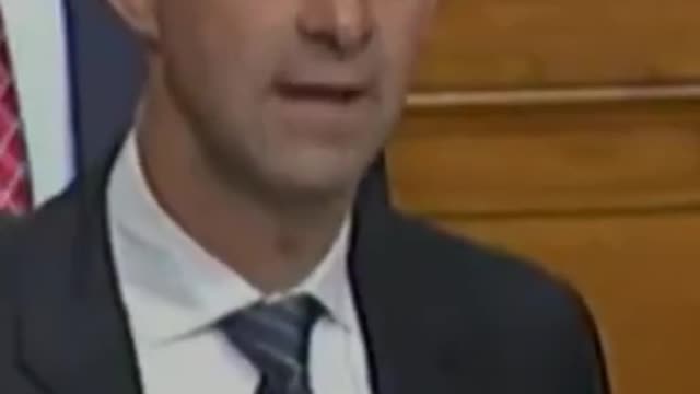 Sen. Tom Cotton Asked Gen. Milly "why haven't you resigned"?