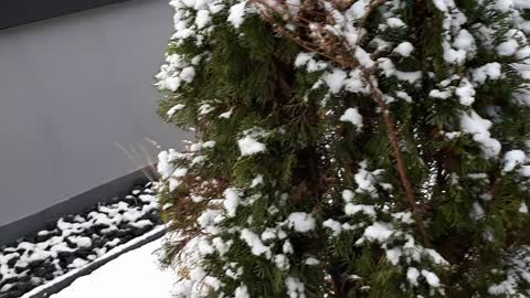 Building rooftop scenery after snow