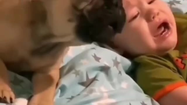 Baby and dog crying together