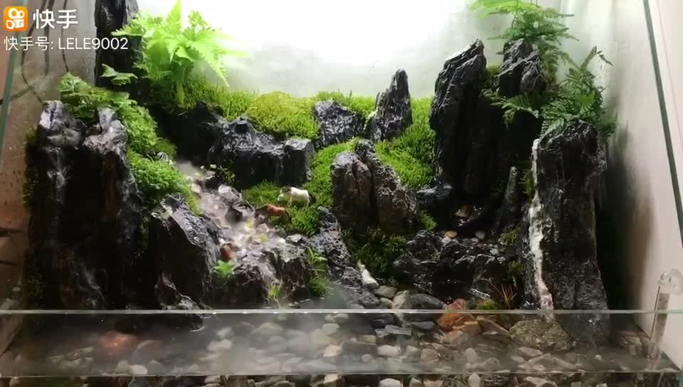 Landscape works in fish tanks(8)