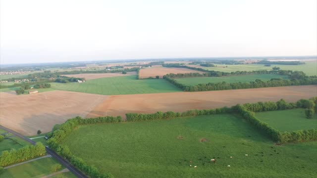 Open field of farmland fly over