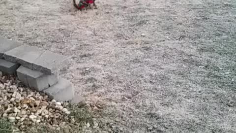 Sweater weather.