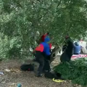 Antifa BUSTED Changing into MAGA Gear!