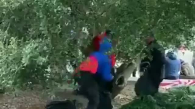 Antifa BUSTED Changing into MAGA Gear!