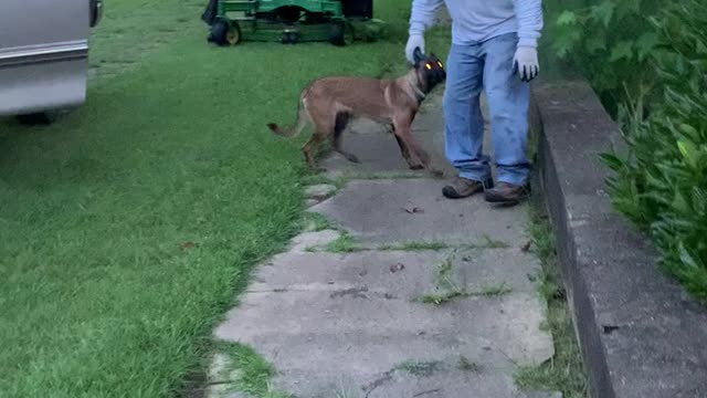 Rescue dog still afraid of men and loud noises